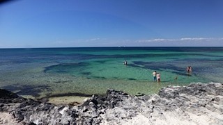 Snorkling at Rottnest island is very popular.